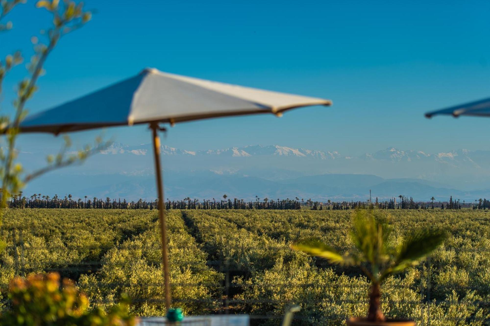 Riad Bab Ahmar Marrakesh Exteriör bild